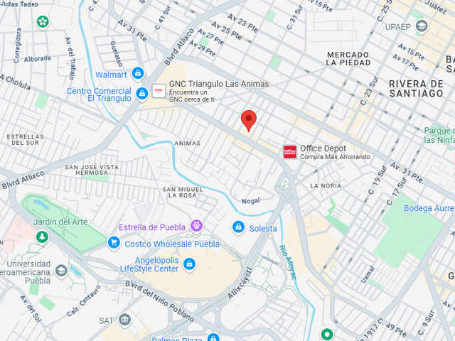 place photo 11