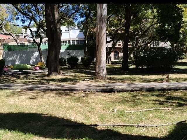 place photo 34