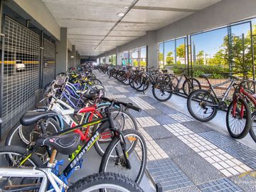 place photo 20