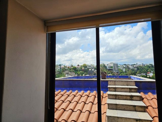 place photo 44