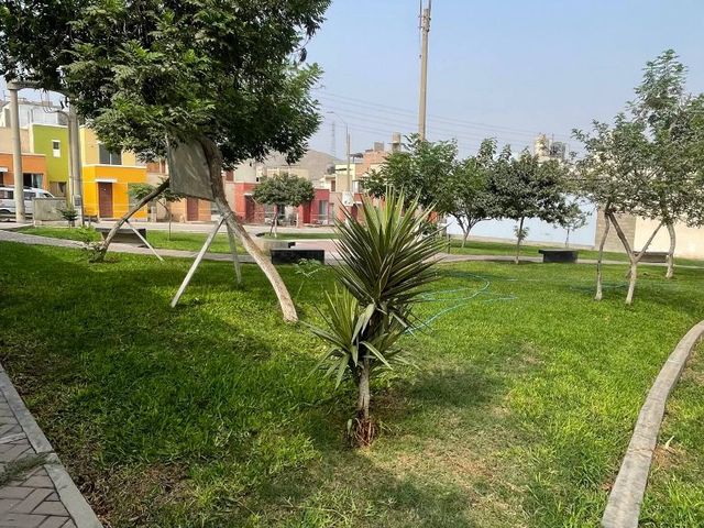 place photo 37
