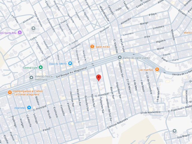 place photo 9