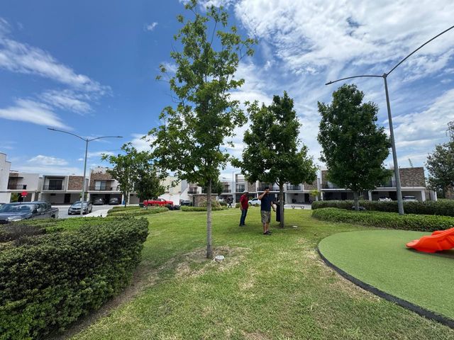 place photo 28