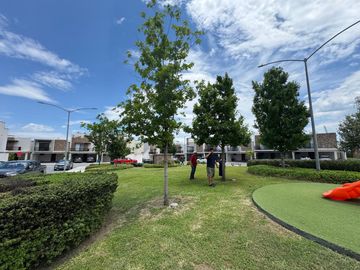 place photo 28