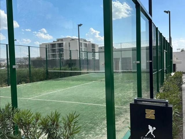 place photo 20