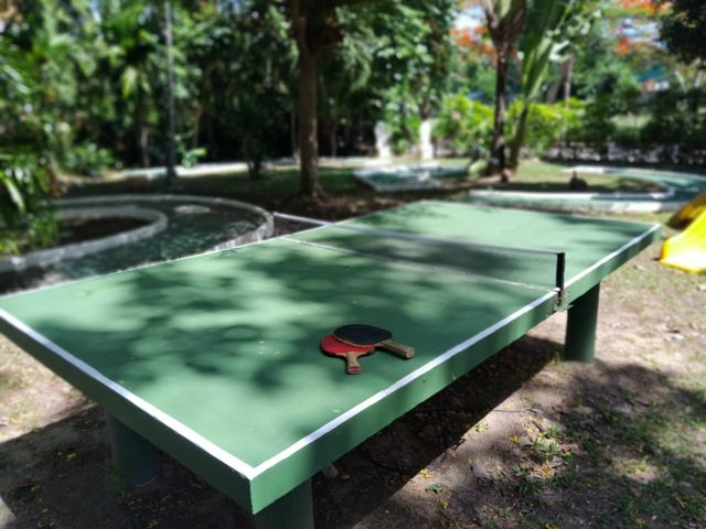 place photo 17