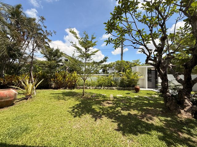 place photo 58