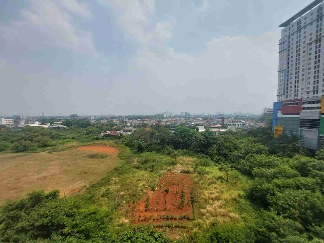 place photo 11