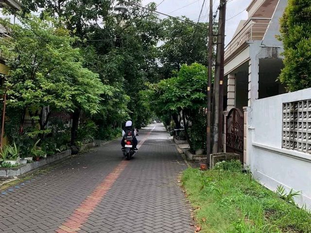 place photo 7