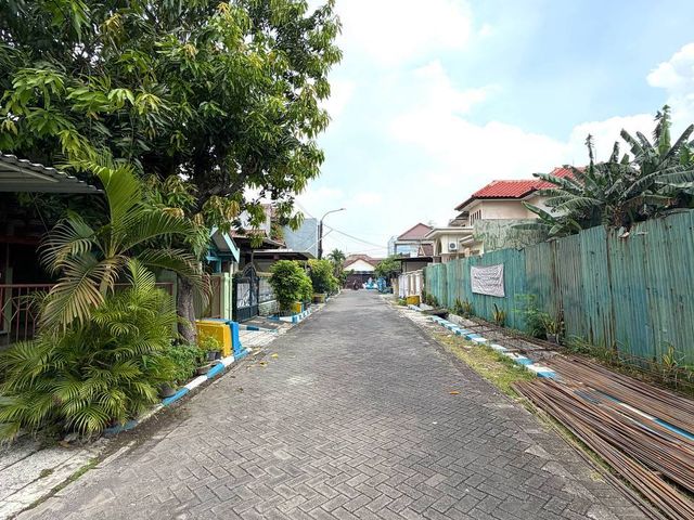 place photo 13