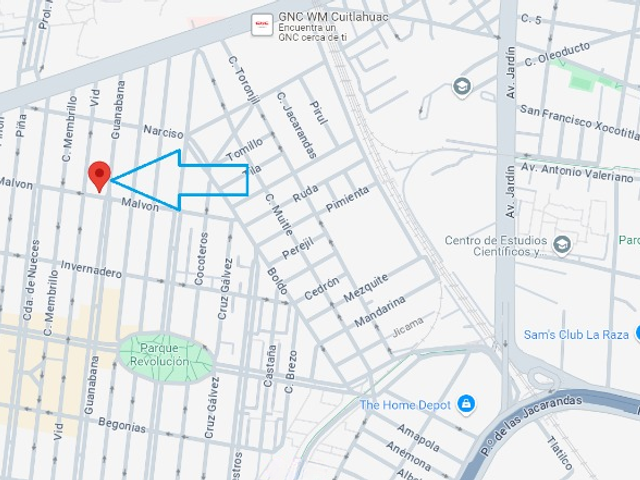 place photo 7