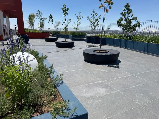 place photo 37
