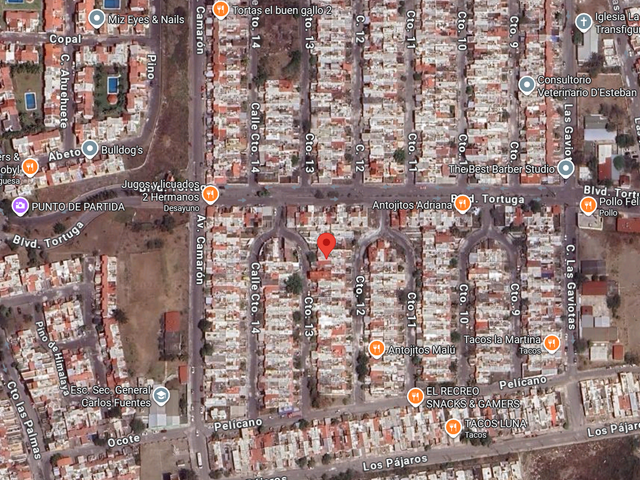 place photo 9