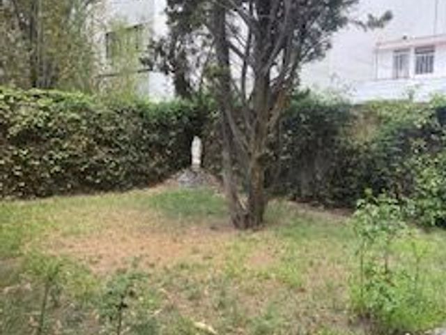 place photo 48