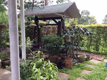 place photo 20