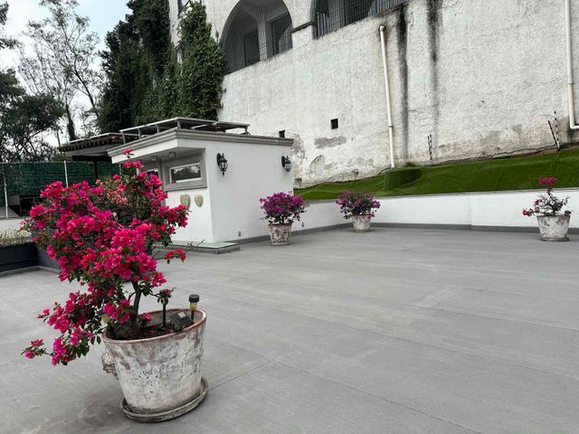 place photo 46