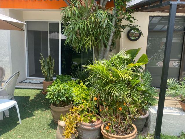 place photo 44