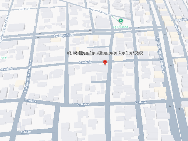 place photo 14