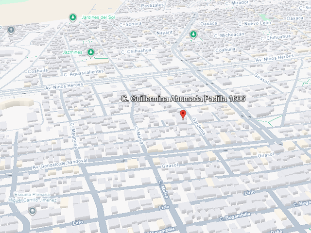 place photo 16