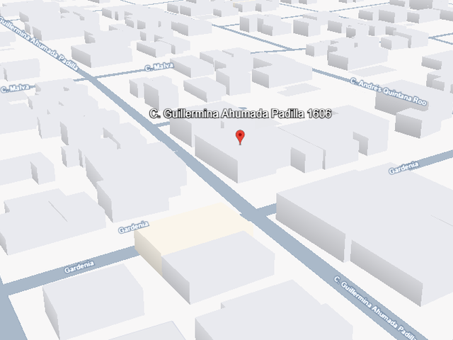 place photo 18