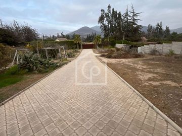place photo 36