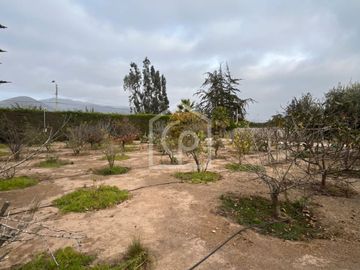 place photo 39