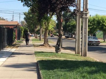 place photo 31