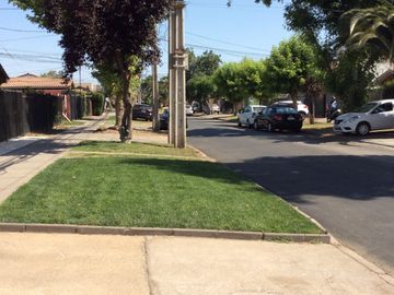 place photo 35