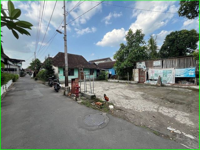 place photo 5