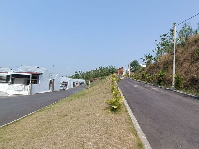 place photo 4