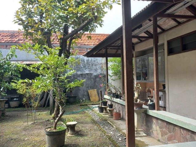 place photo 9