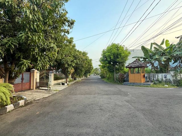 place photo 15