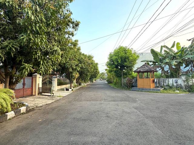 place photo 15