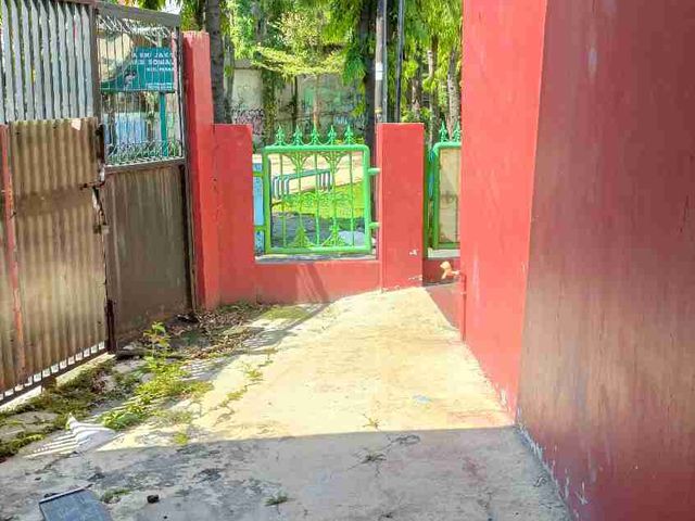 place photo 3