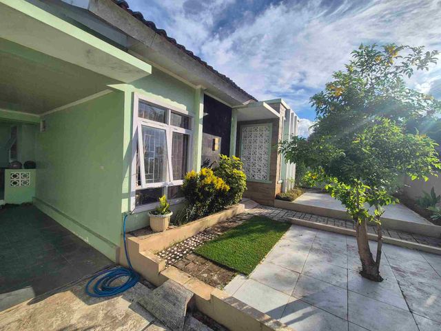 place photo 13