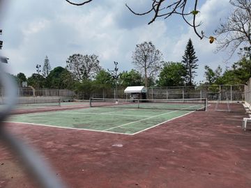 place photo 24