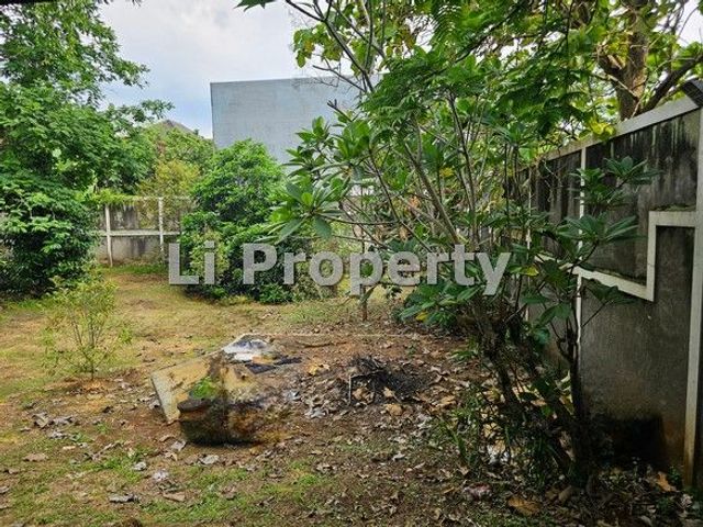 place photo 15