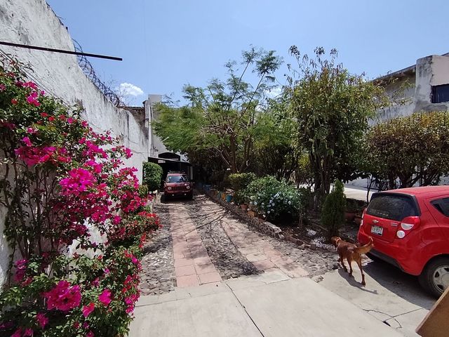 place photo 11