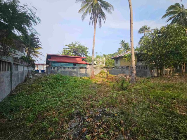 place photo 18