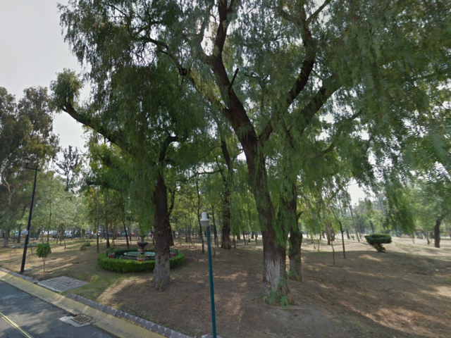 place photo 9