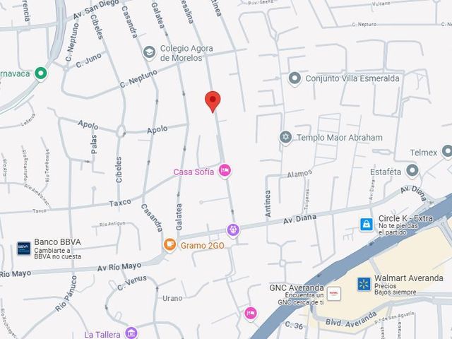 place photo 7