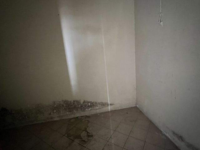 place photo 56