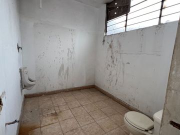 place photo 61