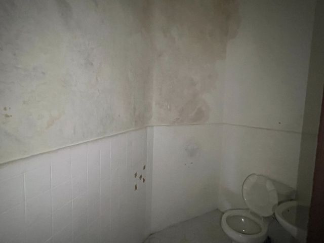 place photo 63