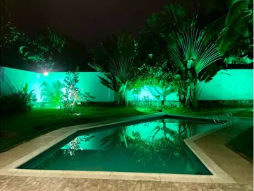 place photo 21