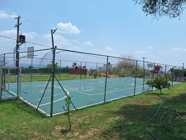 place photo 20