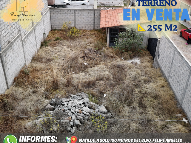 place photo 3