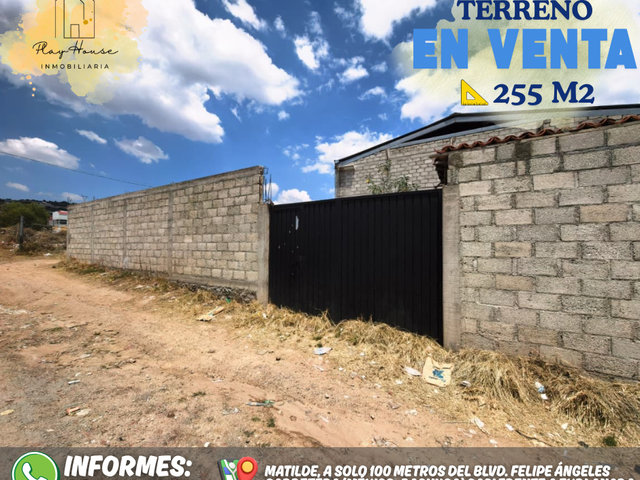 place photo 15