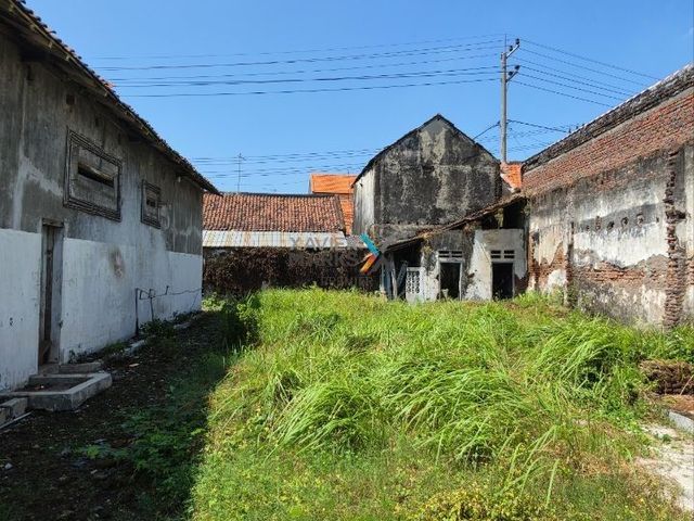 place photo 11