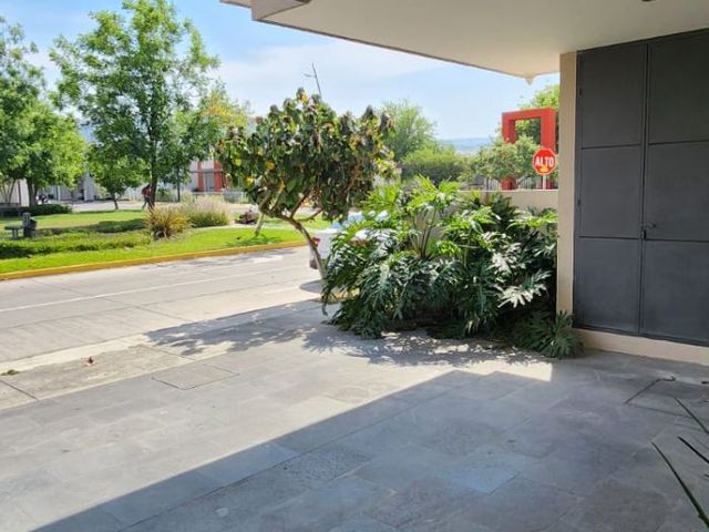 place photo 42